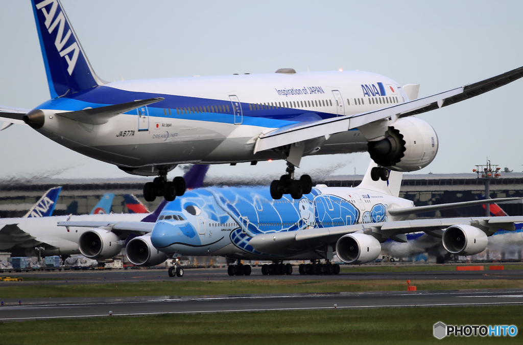 「ブルー」 ANA A380-841 Flying Honu 飛ぶ準備