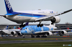 「ブルー」 ANA A380-841 Flying Honu 飛ぶ準備
