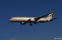 「空色」Etihad 787-9 A6-BLO 着陸します