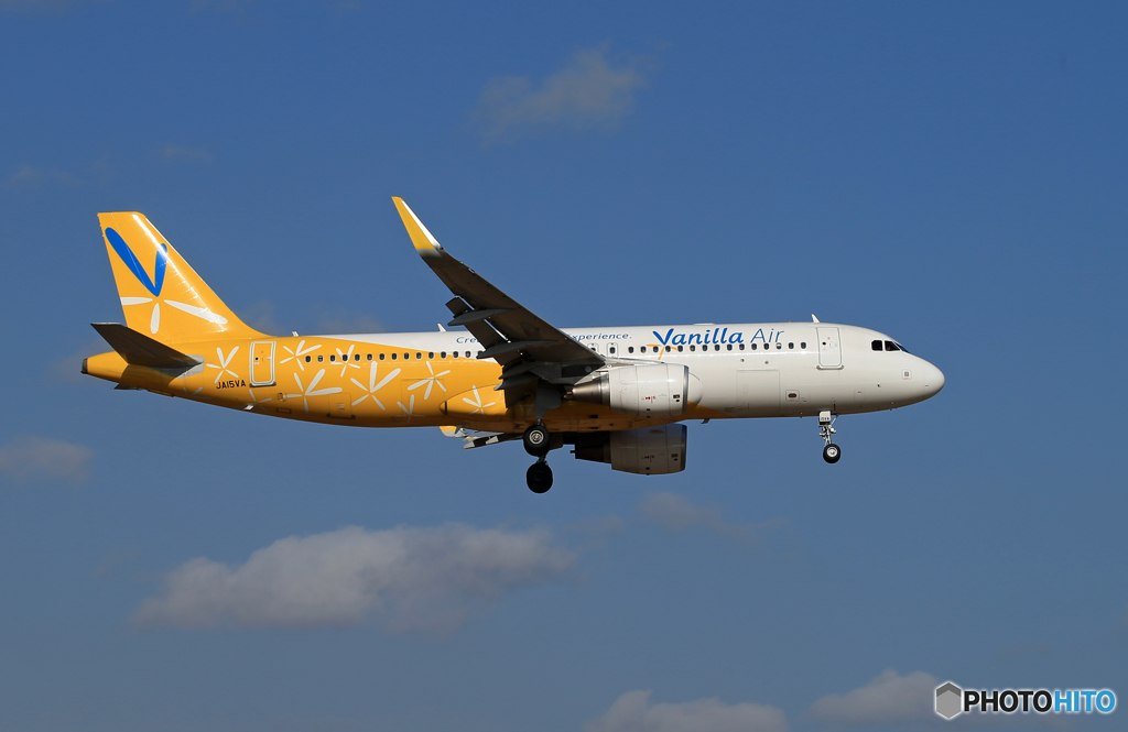 「さくらの山」 バニラ航空 未だ見れます