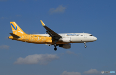 「さくらの山」 バニラ航空 未だ見れます