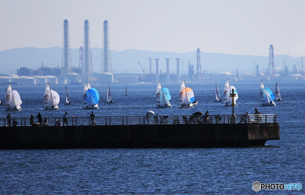 「青い海」大会セーリングで競う
