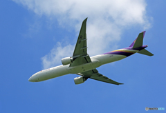 「はれー」 Thai 777-3AL HS-TKO Takeoff 