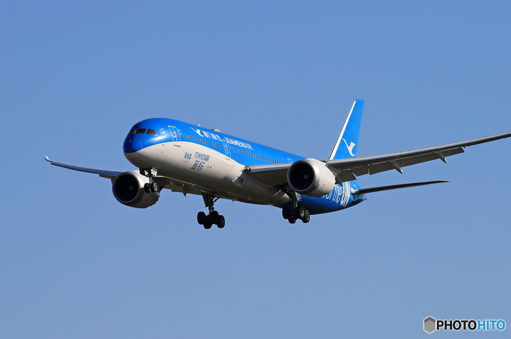 「青色が好き」廈門特別塗装機 787-9 B-1356 飛ぶ