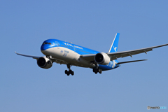 「青色が好き」廈門特別塗装機 787-9 B-1356 飛ぶ