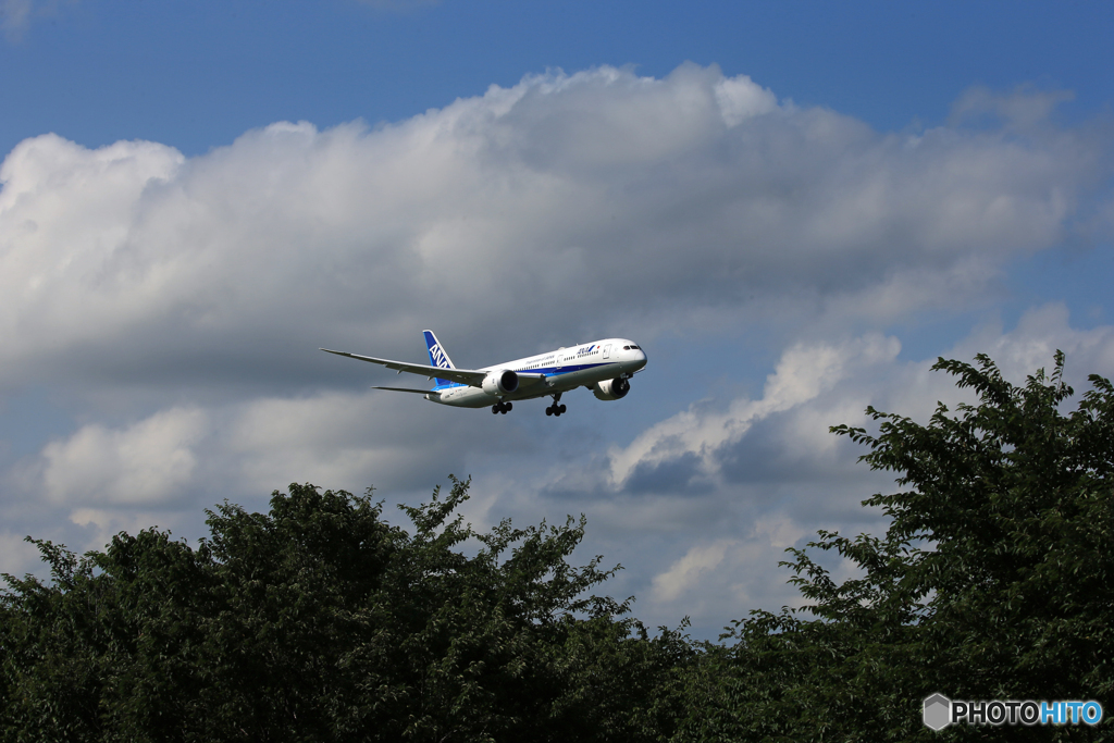 「青空」 ANA 787-9  JA858A 到着です