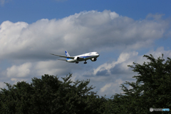 「青空」 ANA 787-9  JA858A 到着です