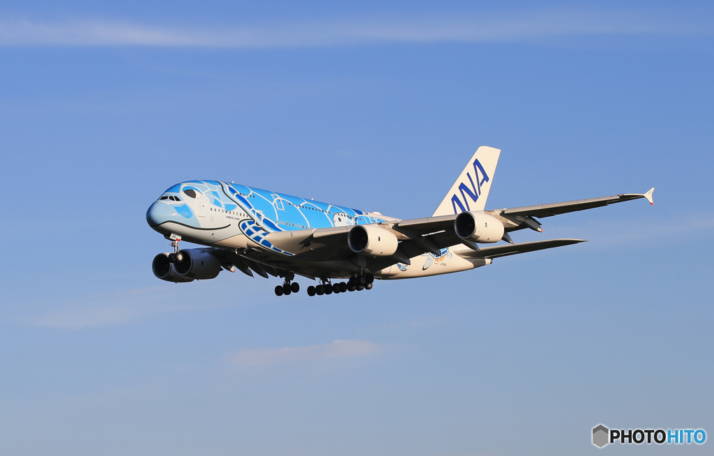 「青い空」が一番 Flying Honu A380  Landing