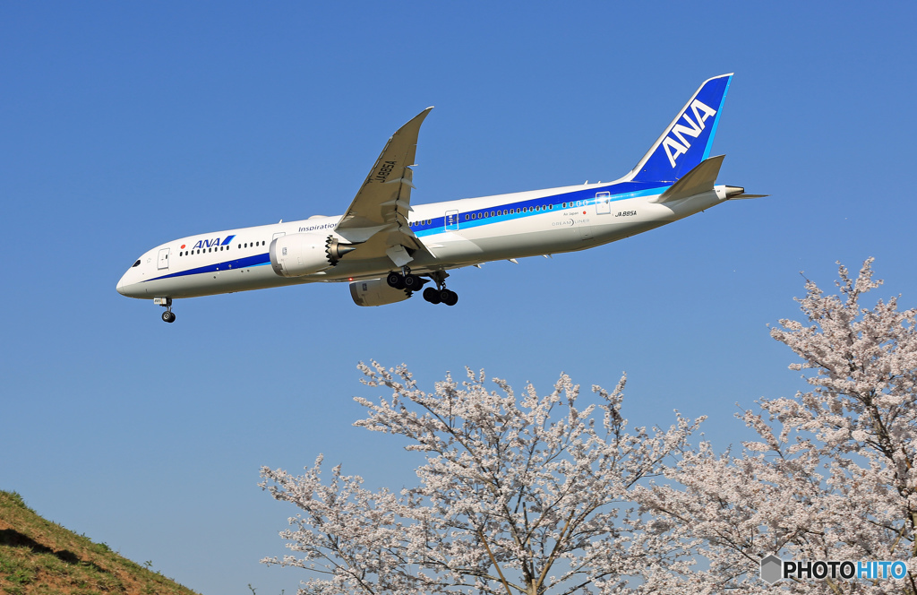 ☀「青い空」が一番 さくらとB787-9 ☮着陸します