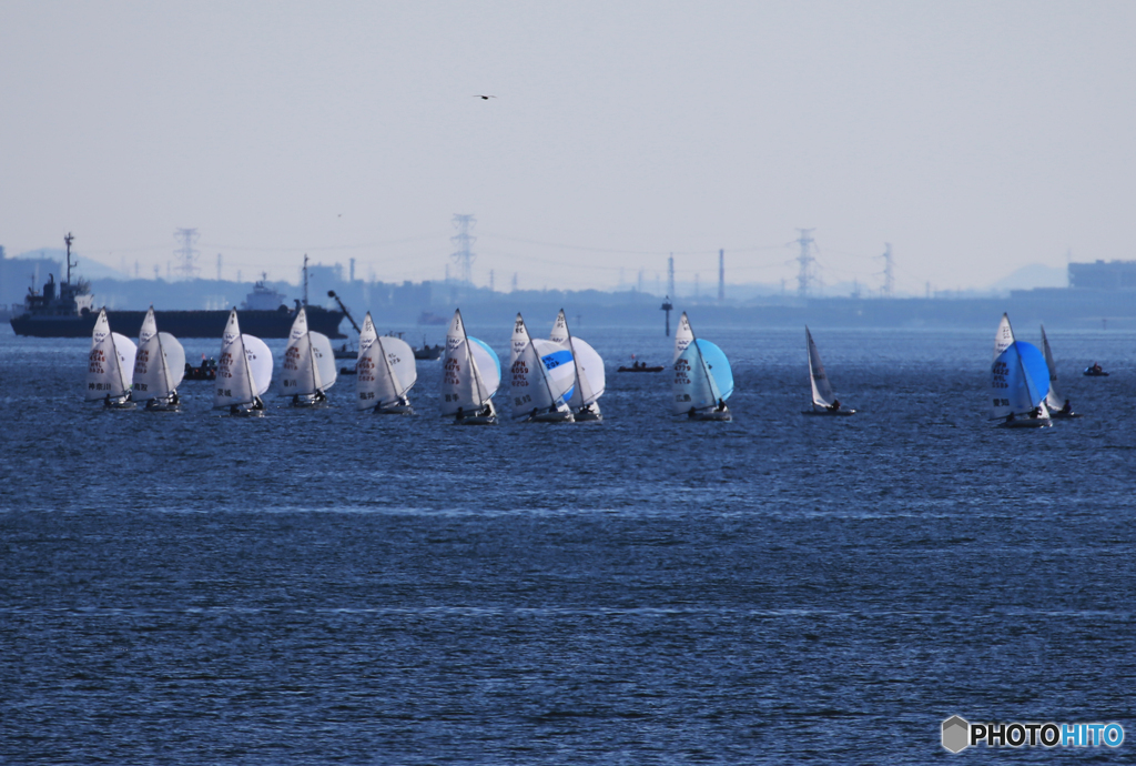 「淡い海」風と友にゆく..大会..セーリング