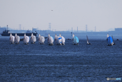 「淡い海」風と友にゆく..大会..セーリング