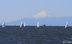 「すかい」Fujiyama・コラボ