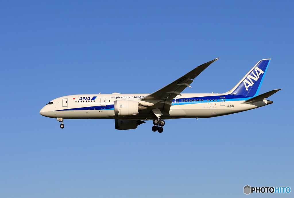 「あおいそら」 ANA 787-8 JA813A 飛行