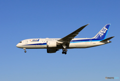 「あおいそら」 ANA 787-8 JA813A 飛行