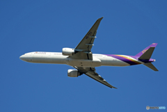 「青色が好き」 THAI 777-3D7 HS-TKV 離陸