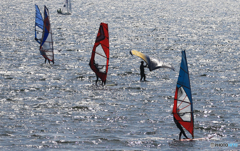 「すかい」風 は 友 達