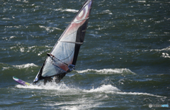☀「あおぞら」波高し・ウインドサーフィン