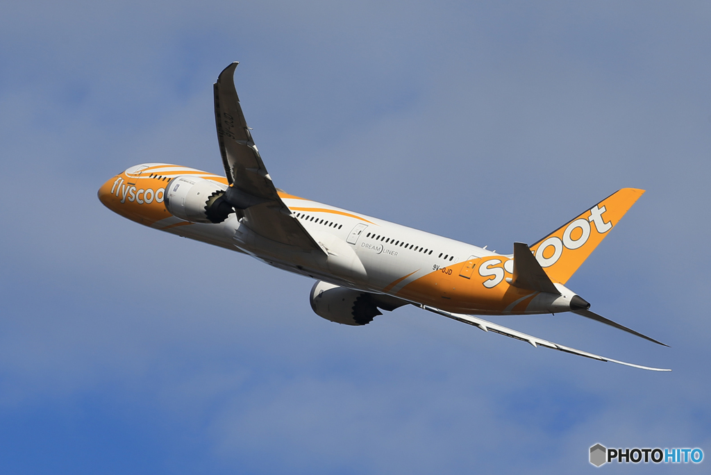 「レモン色」Scoot B787-9  飛び立ち