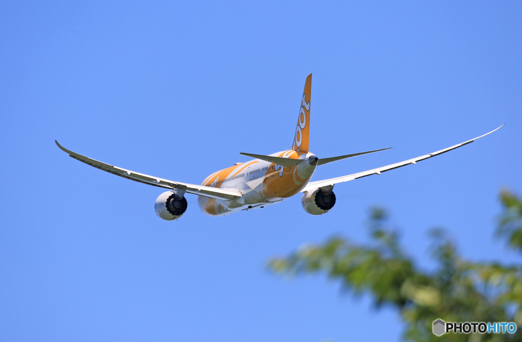 「空色」 scoot 787-8 9V-OFE 飛行