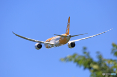 「空色」 scoot 787-8 9V-OFE 飛行