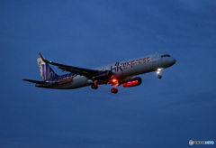 「良い天気」 Hkexpress A321-231 B-CCE来た～