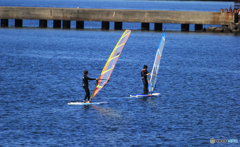 「群青色」   良き日のウインドサーフィン