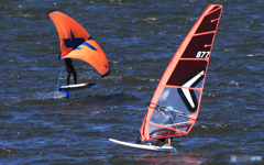 「青色が好き」今日も気持ちがいいね