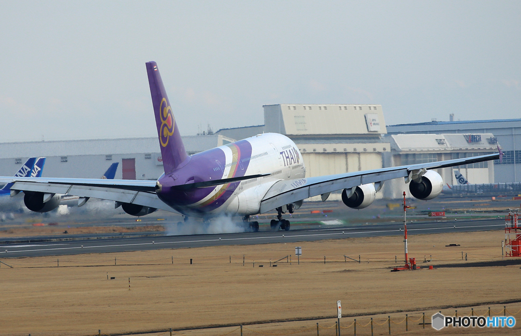 「青」 THAI A380-841 HS-TUA Landing 