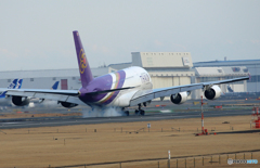 「青」 THAI A380-841 HS-TUA Landing 