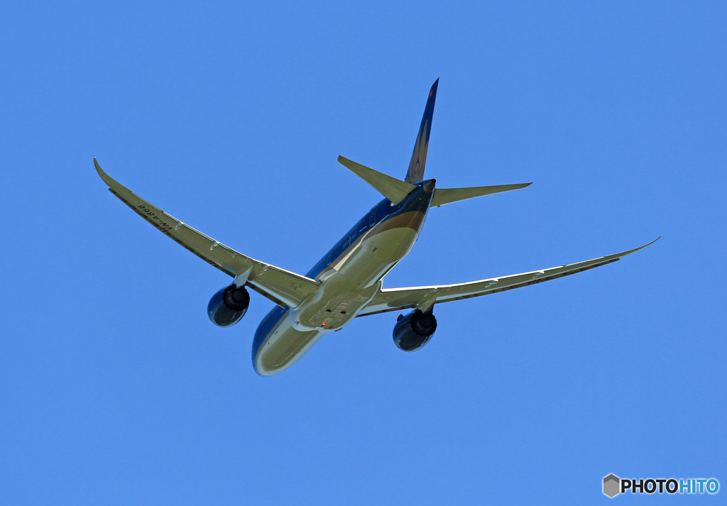 「青が大好き」 Vietnam 787-9 VN-A866 離陸