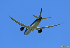 「青が大好き」 Vietnam 787-9 VN-A866 離陸