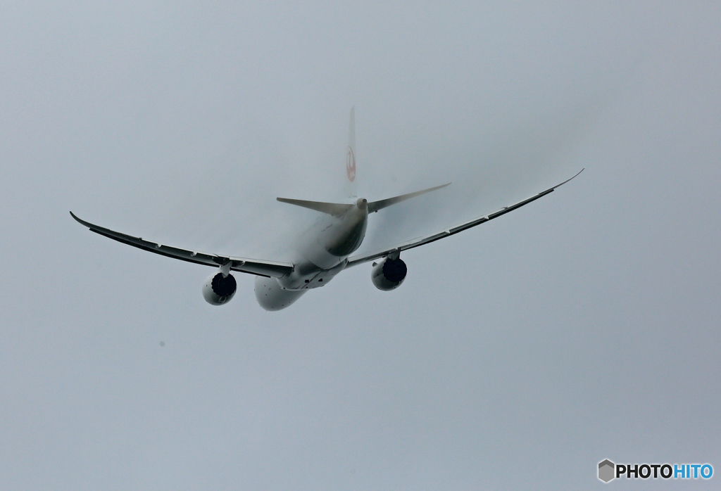 ☮ JAL 787-9 JA865J 飛行 ☮
