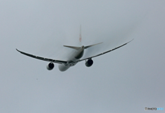 ☮ JAL 787-9 JA865J 飛行 ☮