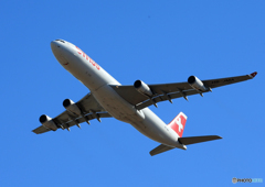 「真青の空」 SWISS A340-313 HB-JMA飛び立ち