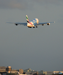 「ブルー」 EMIRATES 特別塗装(4) タッチアンド ゴー