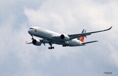 「曇り」Philippines A350-941 「Love 」 Landing