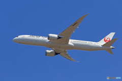 「SKY」 JAL 787-9 JA869J 離陸