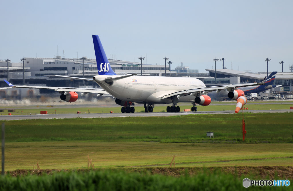 「青が好き」SAS A340-313 LN-RKG離陸