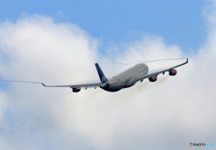 「群青色」 SAS A340-313 ベイパーですか？