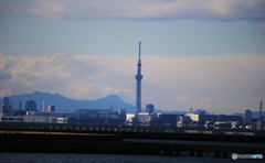 「青空」スカイツリーが見える日