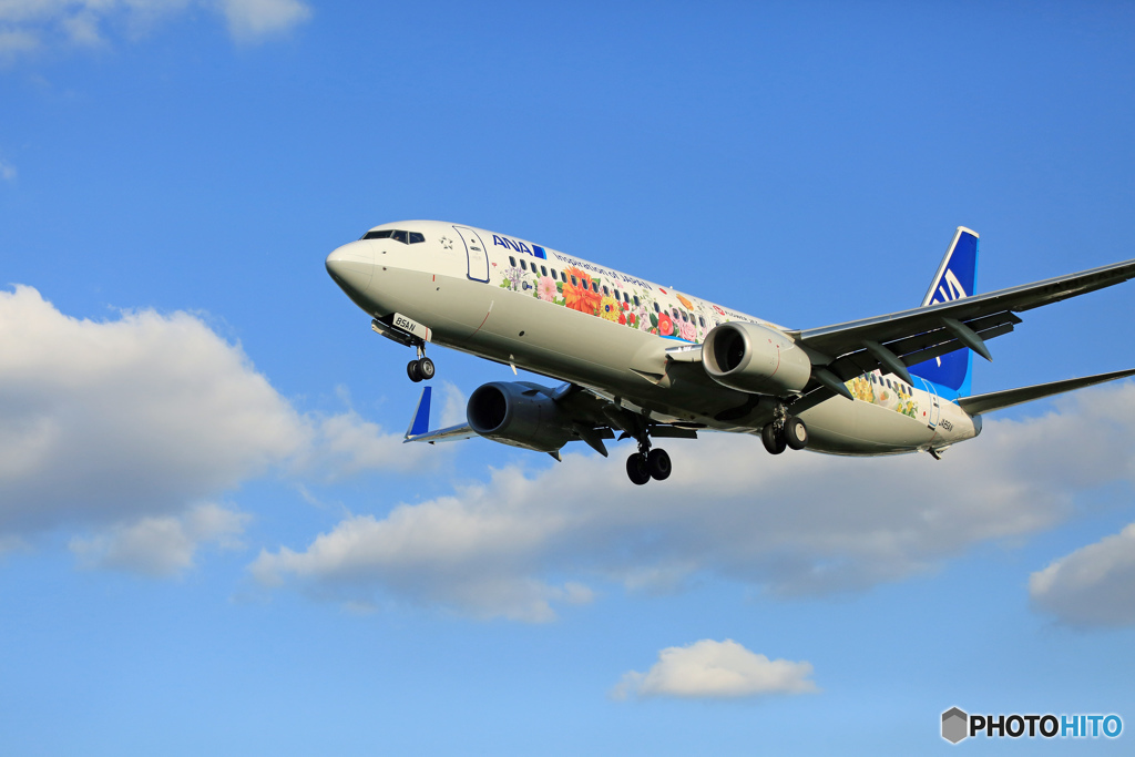 「青い空」が一番 良い雲と東北フラワージェット