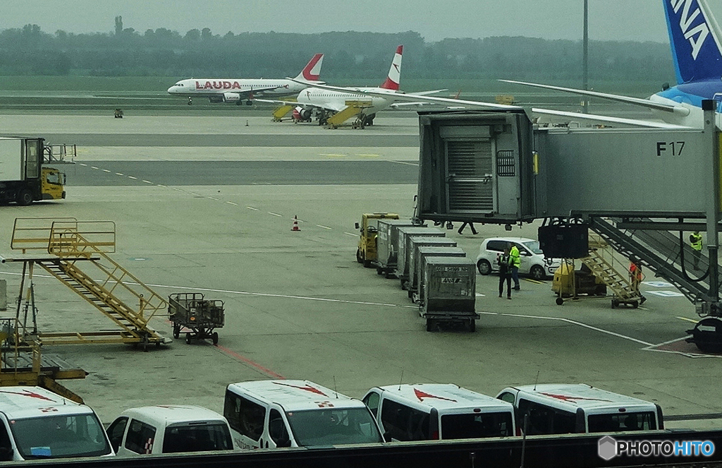 「cool」ウイーン空港で  ラウダ航空 [LAUDA] を探す(1)