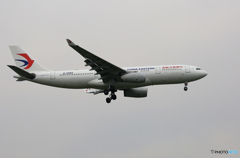 「SKY」? 中国東方 A330-243 B-6082 到着