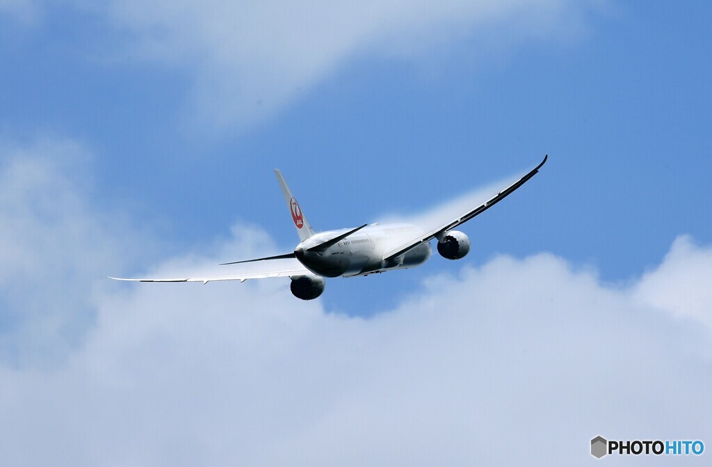「青色が好き」Japan Airlines 787Takeoff  