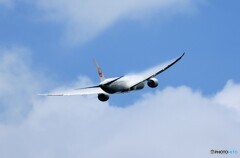 「青色が好き」Japan Airlines 787Takeoff  