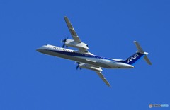 ☀「あおぞら」ANA WINGS DHC-8-400 JA856A 離陸