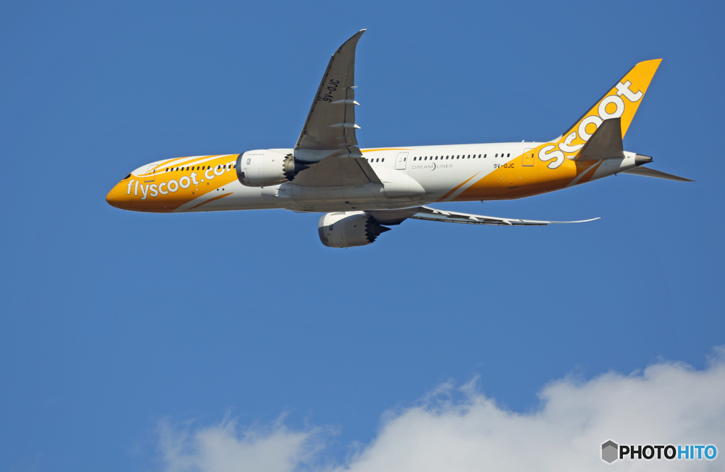 「青色」 Scoot 787-9 9V-OJC 離陸 です