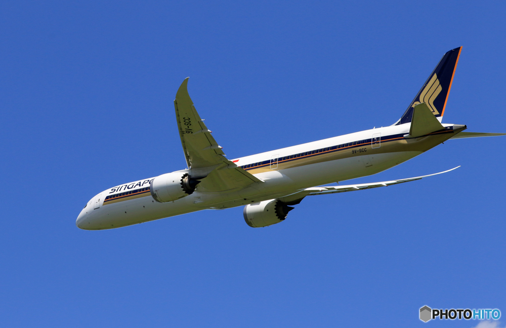 「青が大好き」 Singapore 787-10 9V-SCC 飛び立ちです