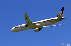 「青が大好き」 Singapore 787-10 9V-SCC 飛び立ちです