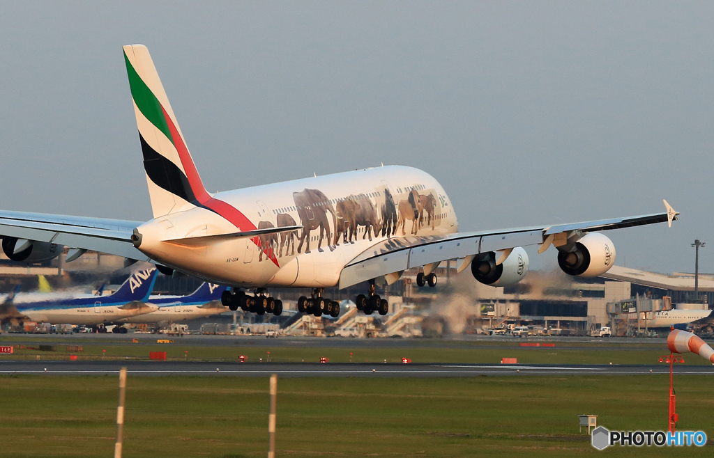 「すかい」 エミレーツ動物愛護機A380-861 Landing　